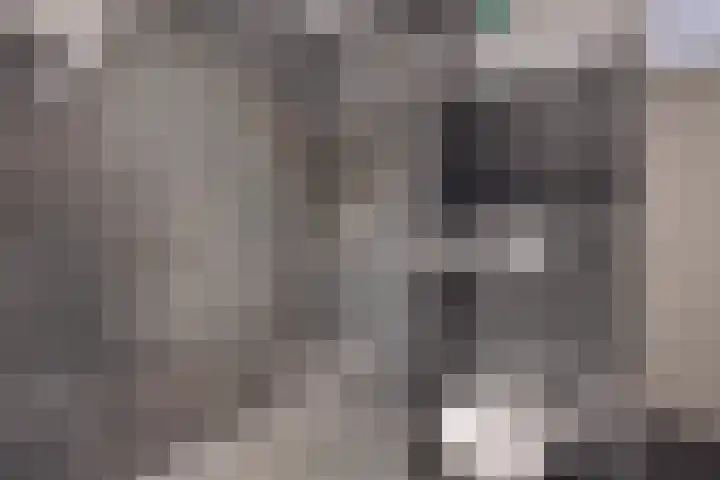 Populier 208 Heerenveen thumbnail 27