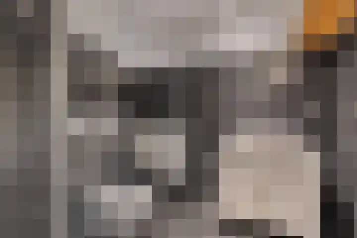 Populier 208 Heerenveen thumbnail 28