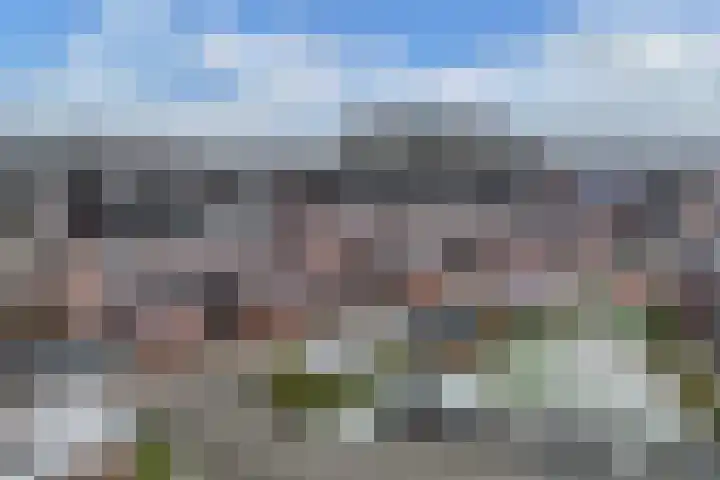 Populier 208 Heerenveen thumbnail 31