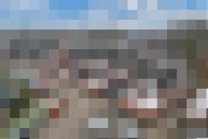 Populier 208 Heerenveen thumbnail 32