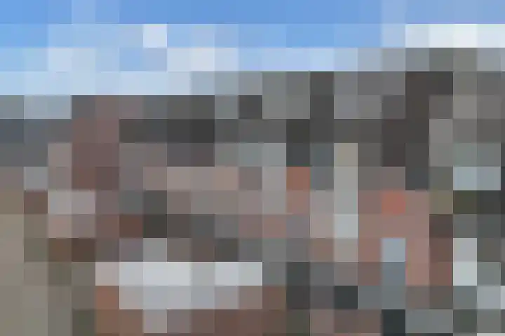 Populier 208 Heerenveen thumbnail 33
