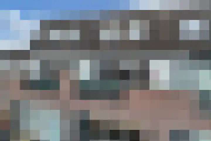 Populier 208 Heerenveen thumbnail 34