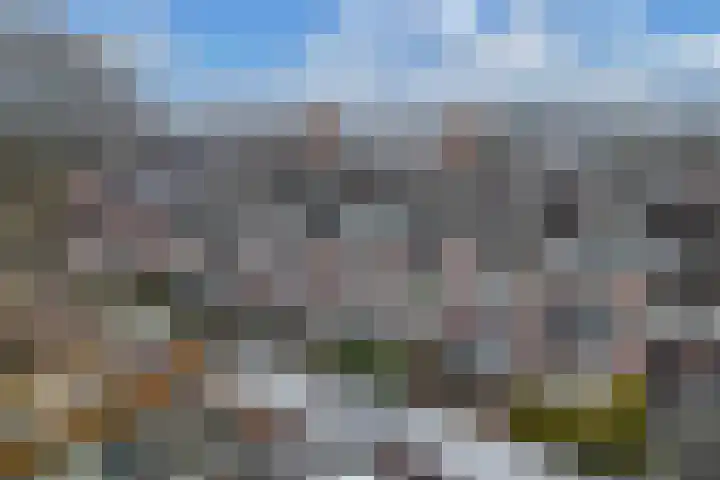 Populier 208 Heerenveen thumbnail 35