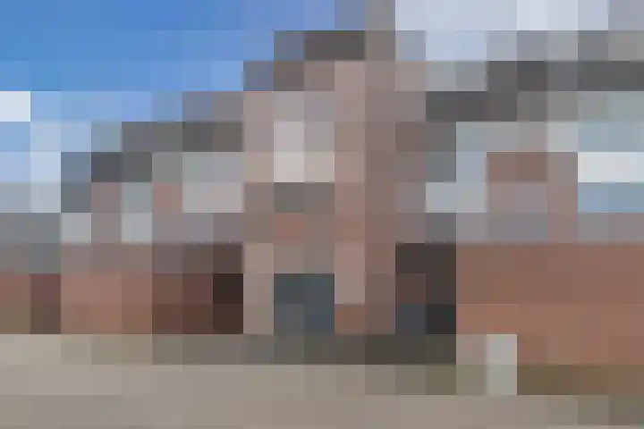 Populier 208 Heerenveen thumbnail 4