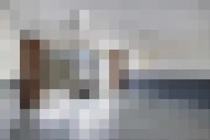 Populier 208 Heerenveen thumbnail 6