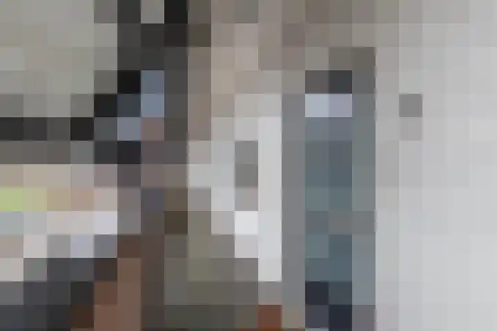 Populier 208 Heerenveen thumbnail 7