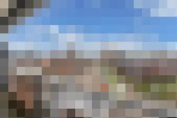 Populier 208 Heerenveen thumbnail 8
