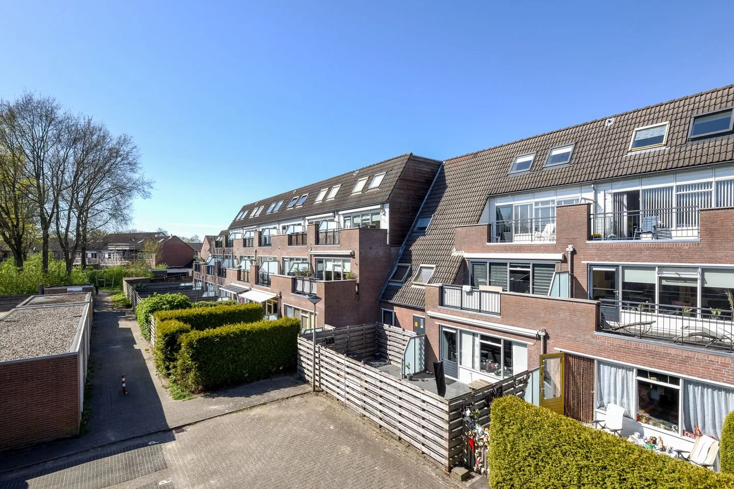 Populier 3 in Heerenveen