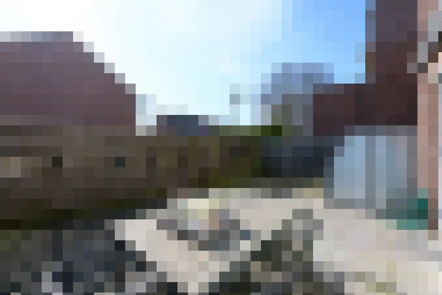 Populier 3 Heerenveen thumbnail 19