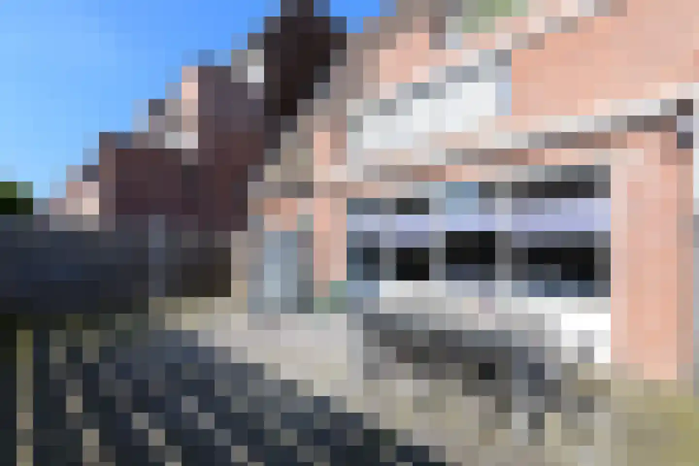 Populier 3 Heerenveen thumbnail 20