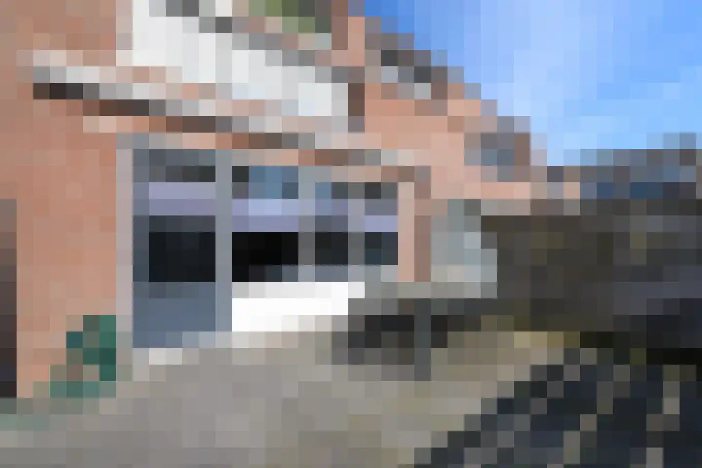Populier 3 Heerenveen thumbnail 21