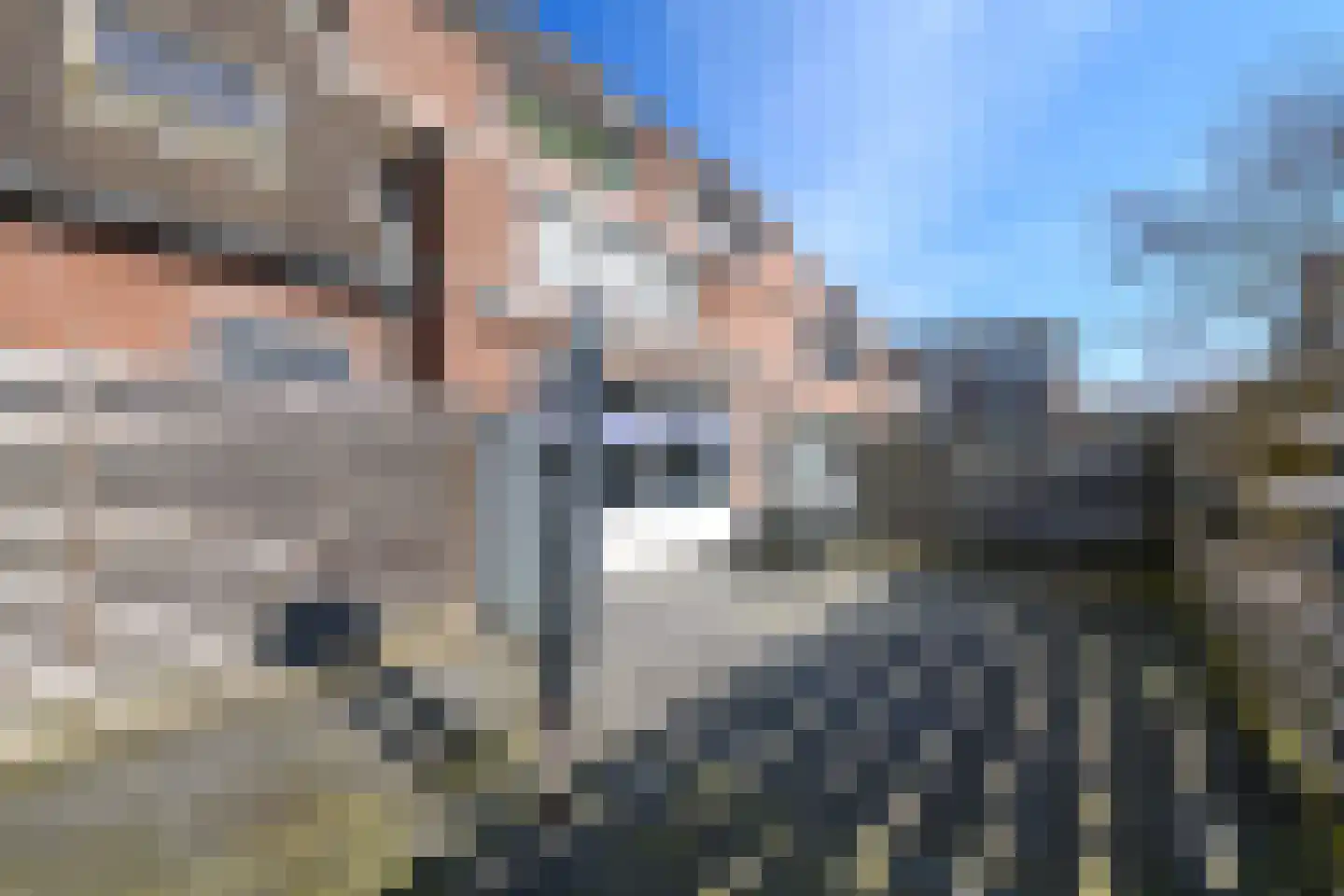 Populier 3 Heerenveen thumbnail 22