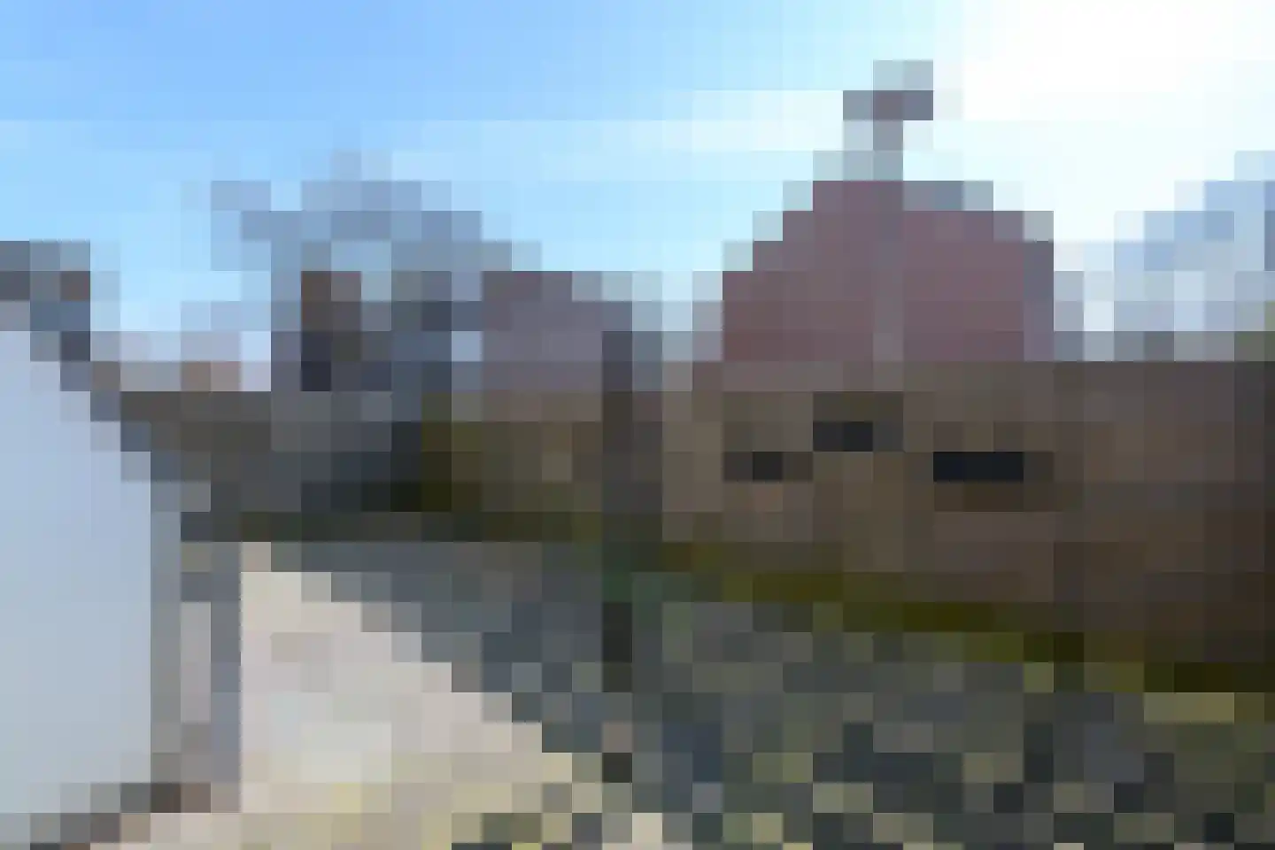 Populier 3 Heerenveen thumbnail 23