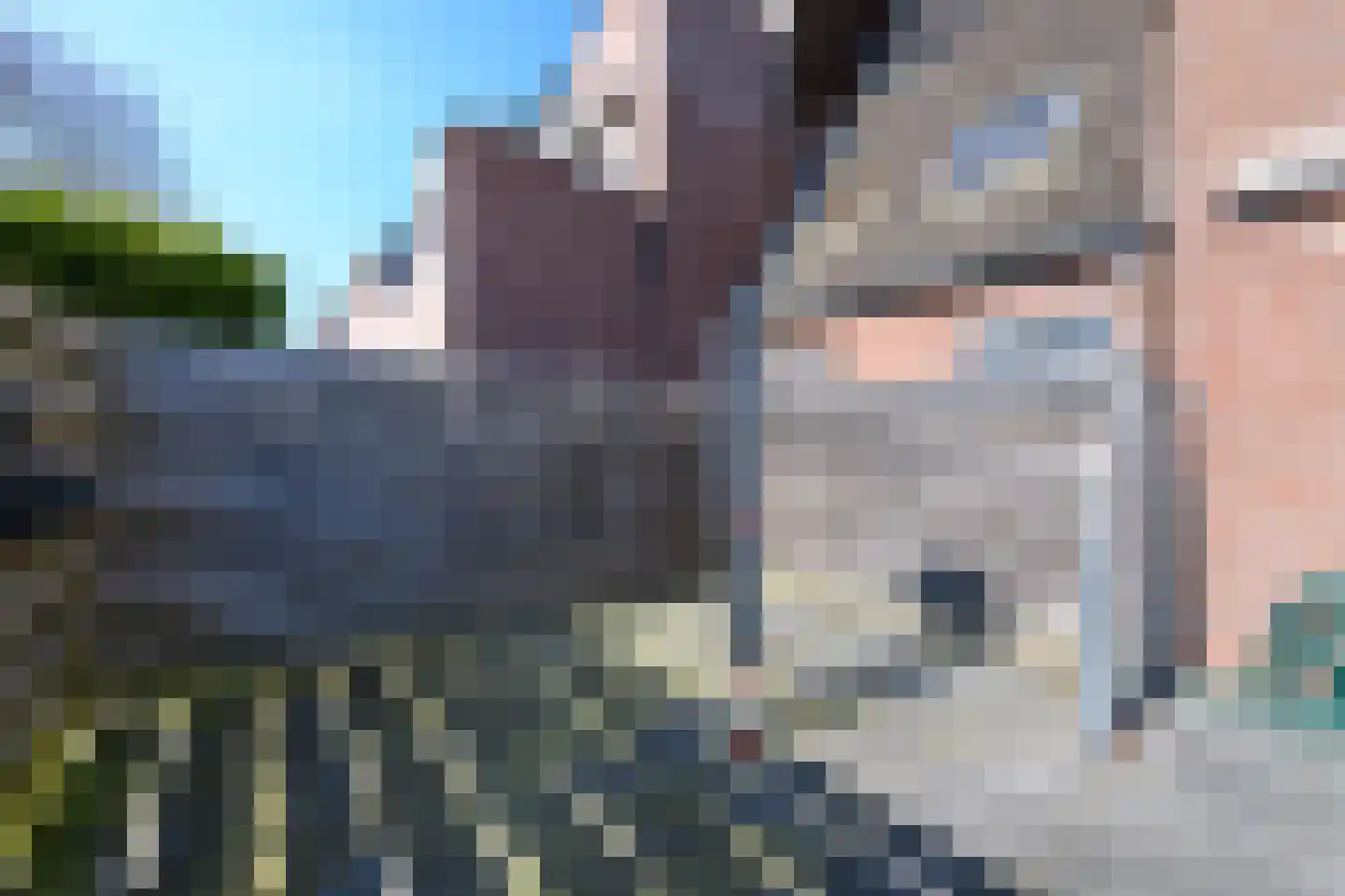 Populier 3 Heerenveen thumbnail 24