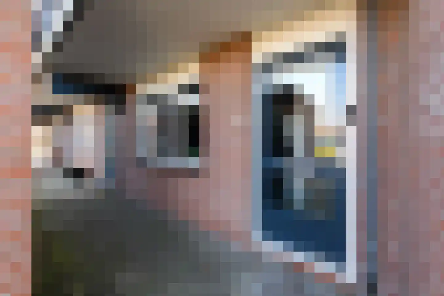 Populier 3 Heerenveen thumbnail 26