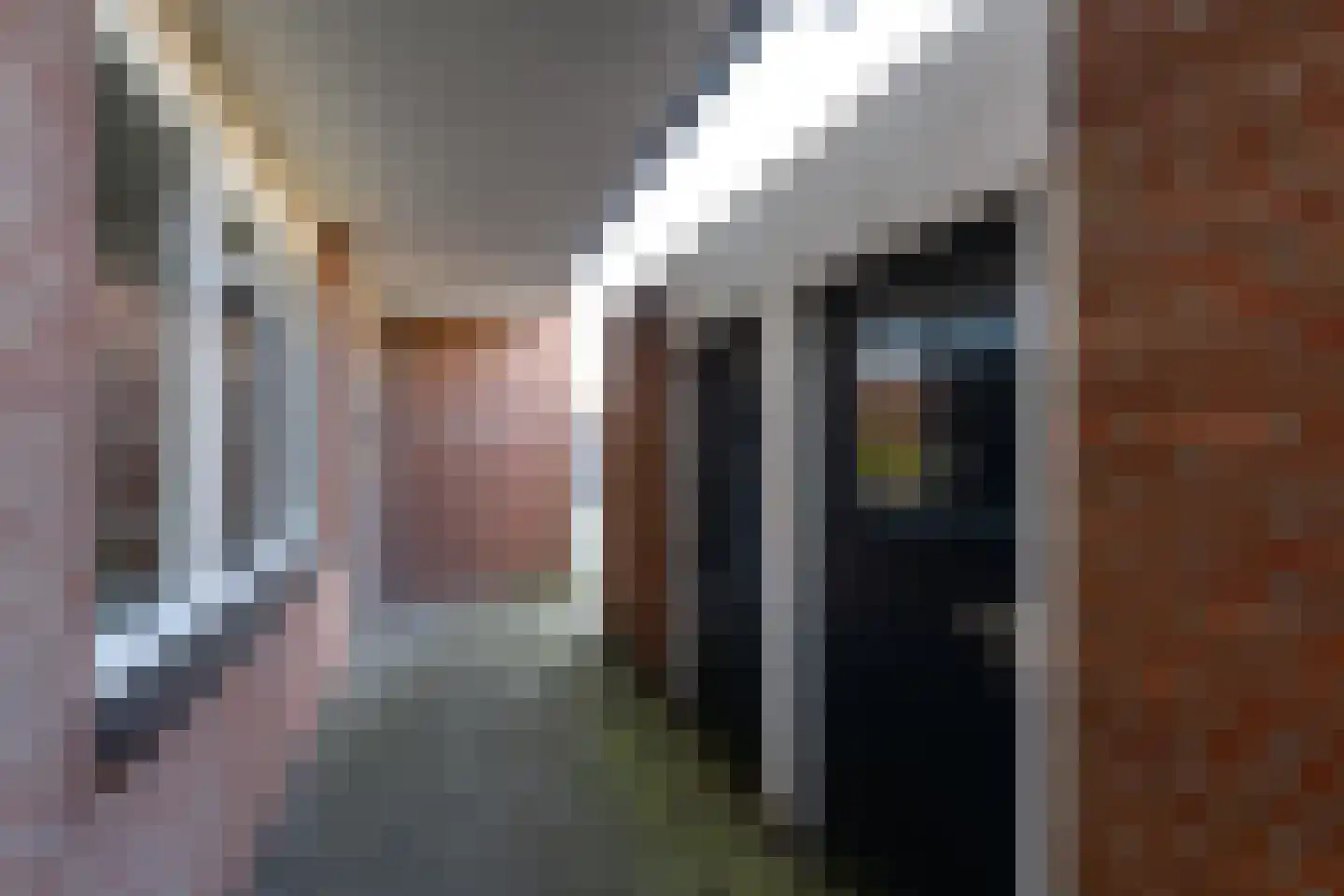 Populier 3 Heerenveen thumbnail 27