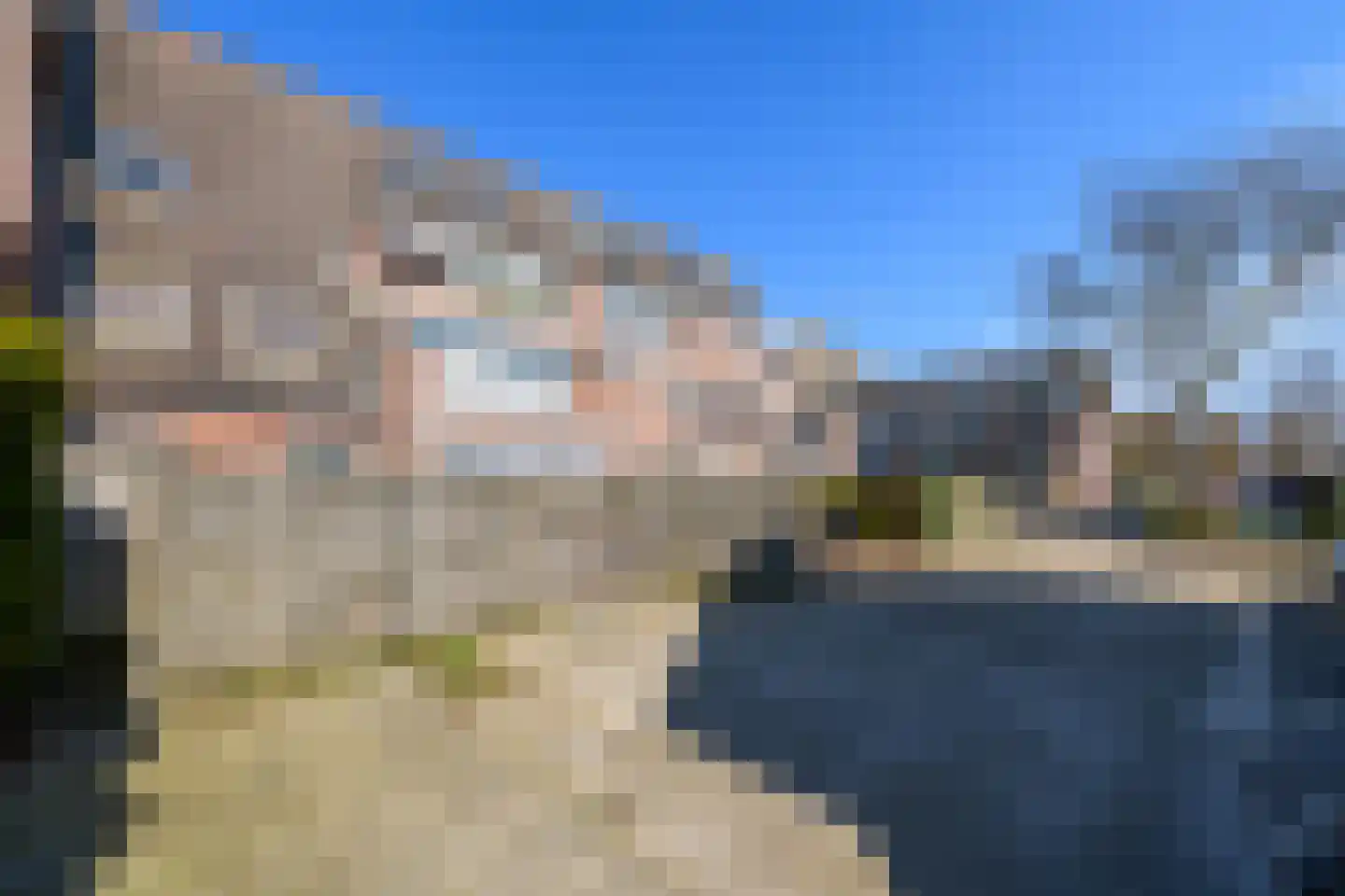 Populier 3 Heerenveen thumbnail 30