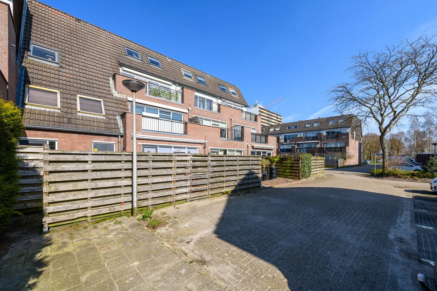 Populier 3 Heerenveen thumbnail 30