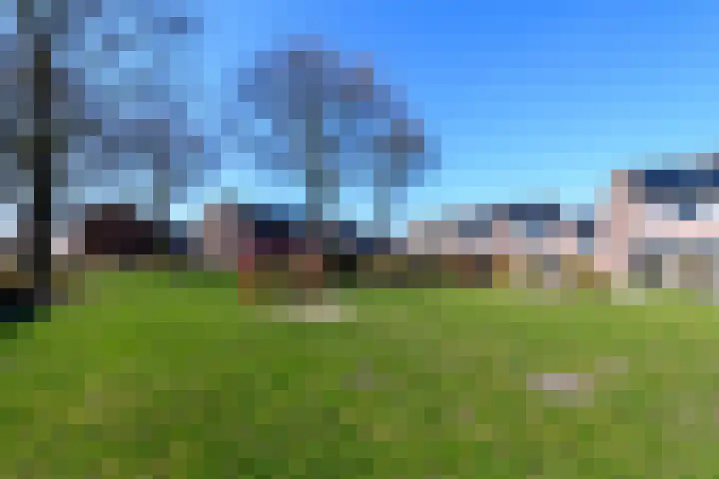 Populier 3 Heerenveen thumbnail 31