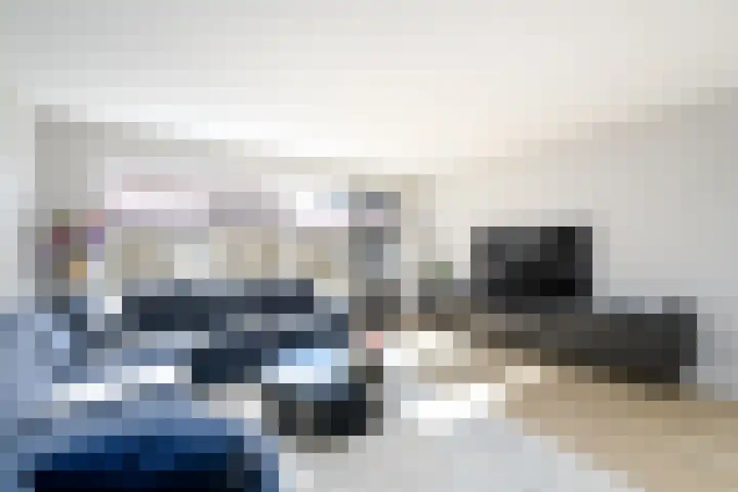 Populier 3 Heerenveen thumbnail 4