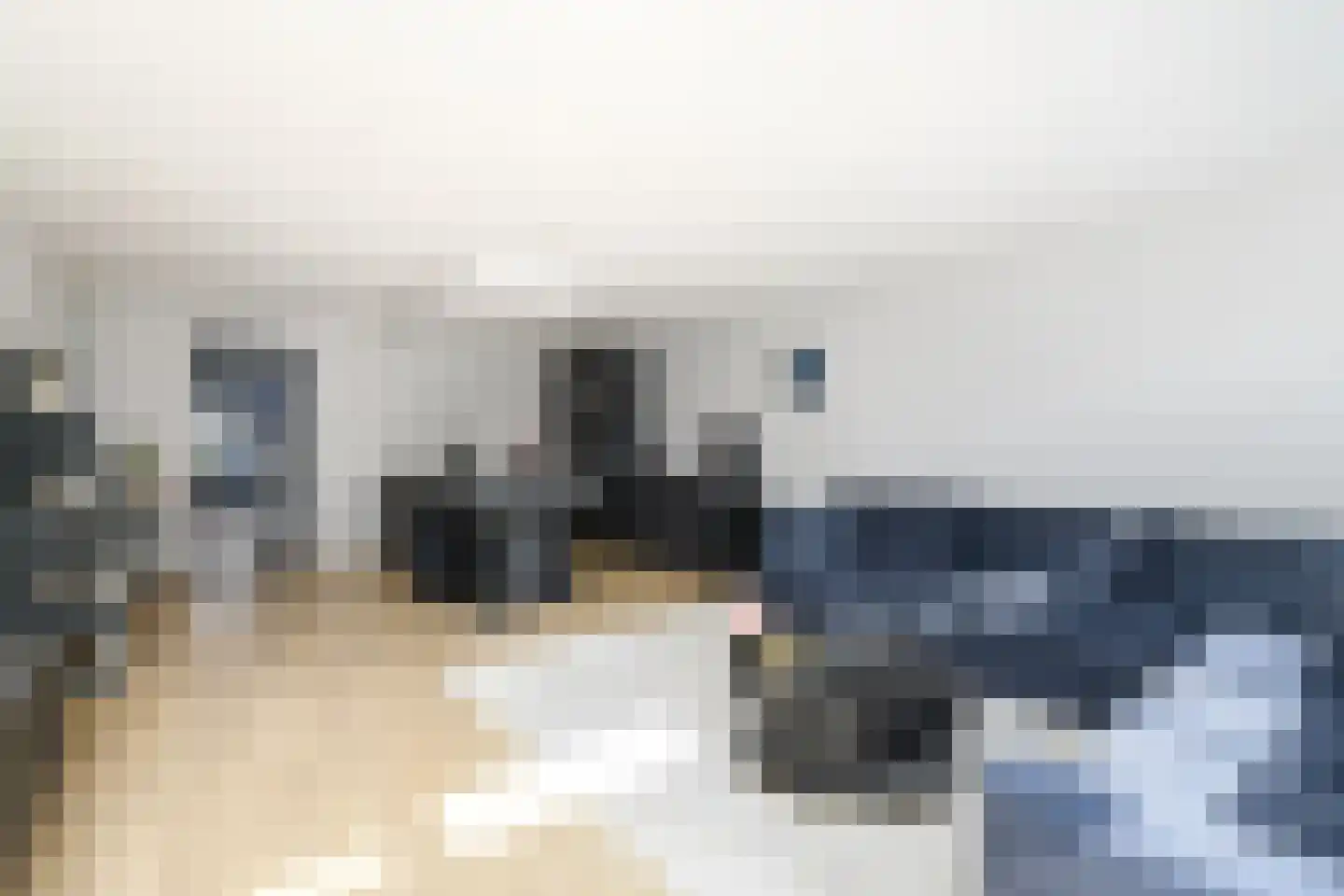Populier 3 Heerenveen thumbnail 5