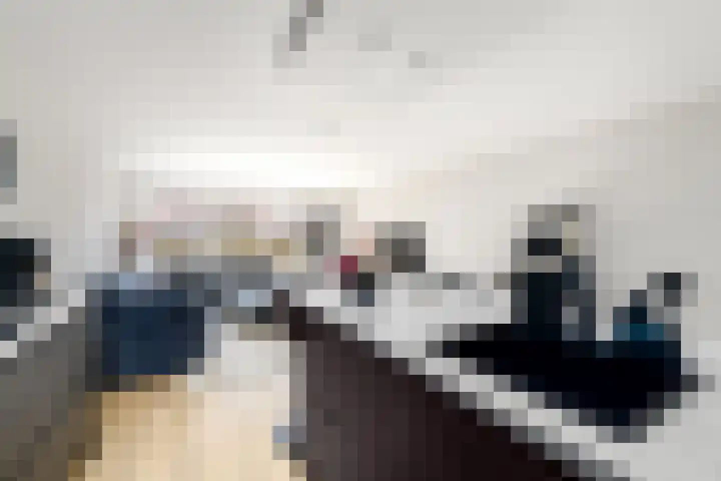 Populier 3 Heerenveen thumbnail 9