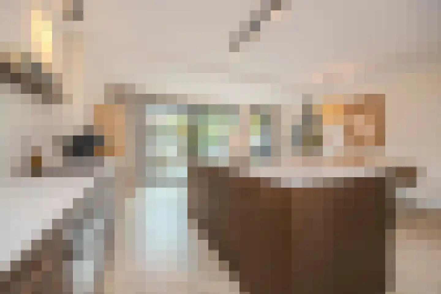 Populier 30 Best thumbnail 14