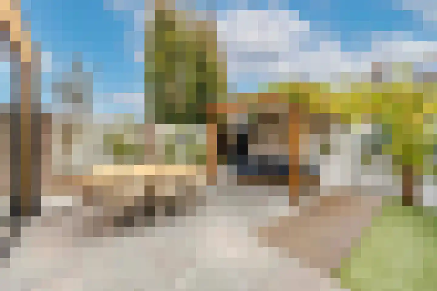 Populier 30 Best thumbnail 31
