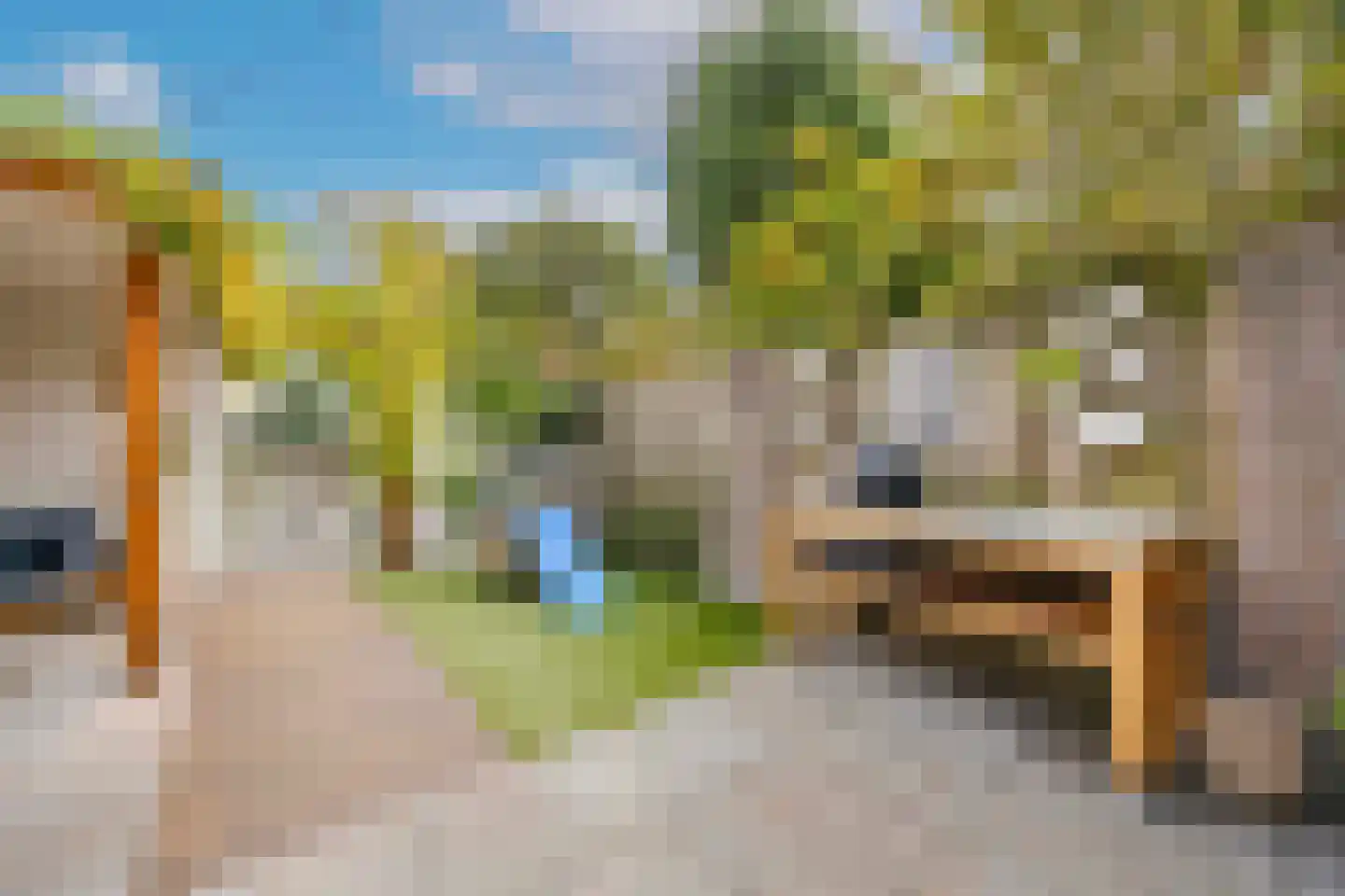 Populier 30 Best thumbnail 35