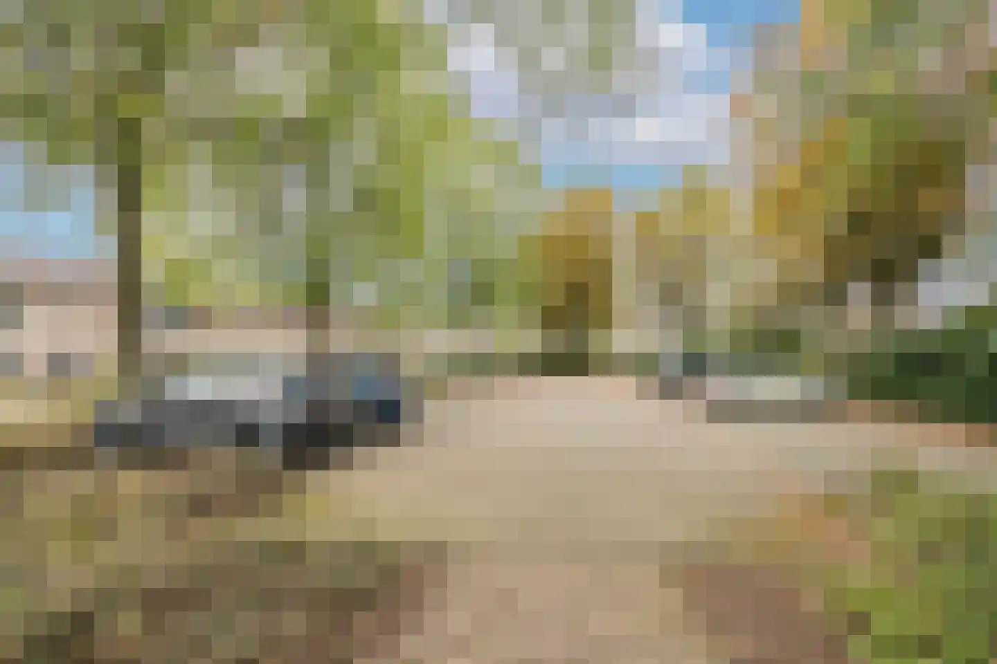 Populier 30 Best thumbnail 36