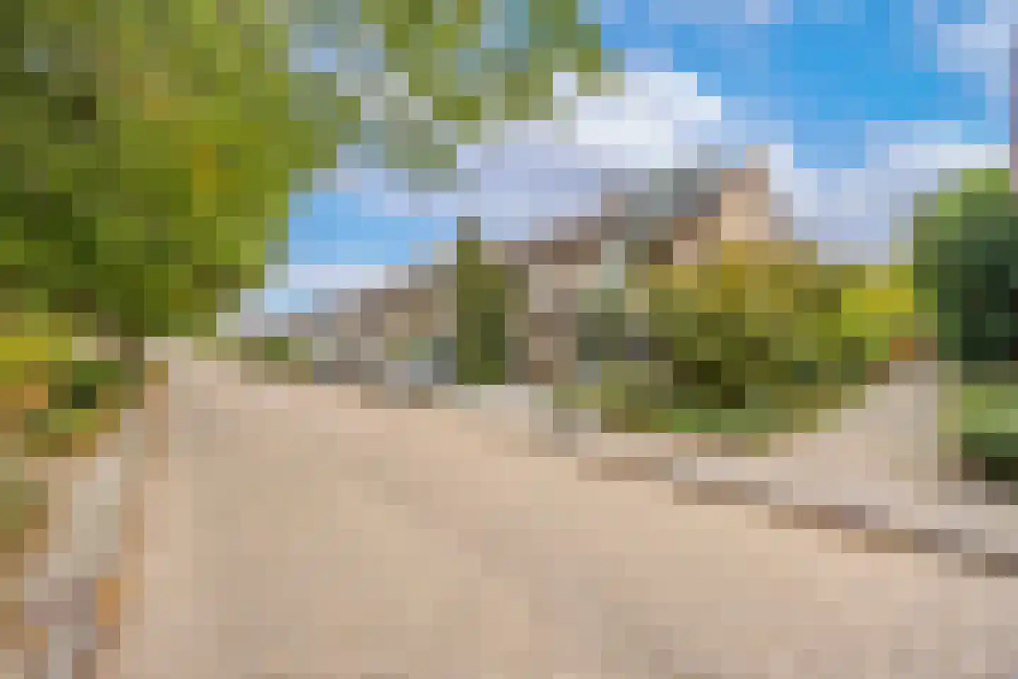 Populier 30 Best thumbnail 37