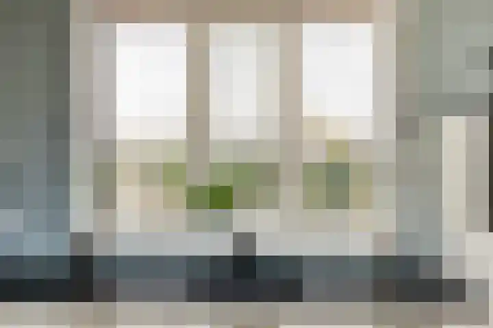 Populier 33 Best thumbnail 12