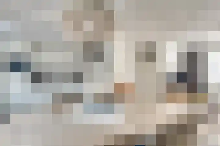 Populier 33 Best thumbnail 13