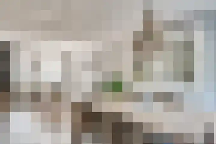 Populier 33 Best thumbnail 14