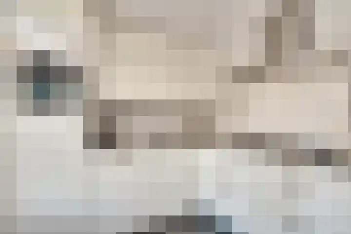 Populier 33 Best thumbnail 15