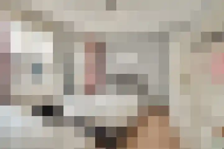 Populier 33 Best thumbnail 18