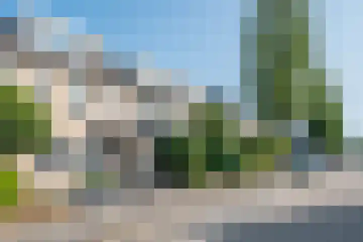 Populier 33 Best foto 2