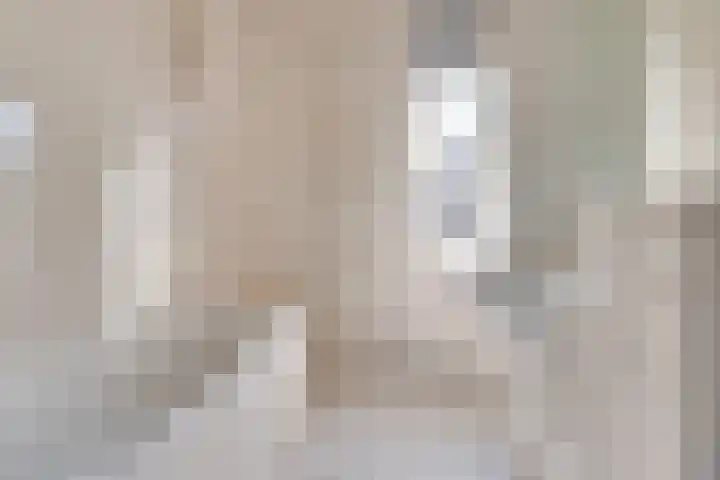 Populier 33 Best thumbnail 21