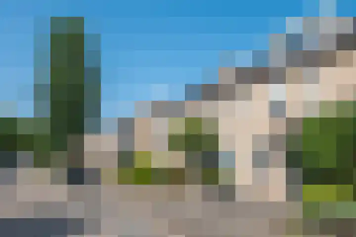 Populier 33 Best foto 3