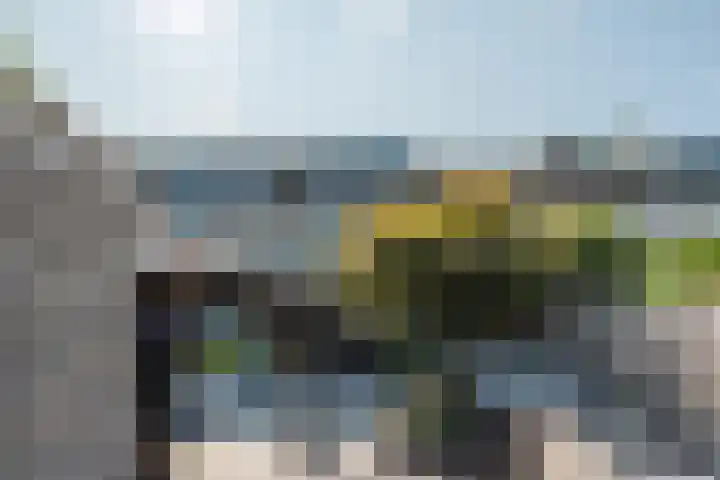 Populier 33 Best thumbnail 38
