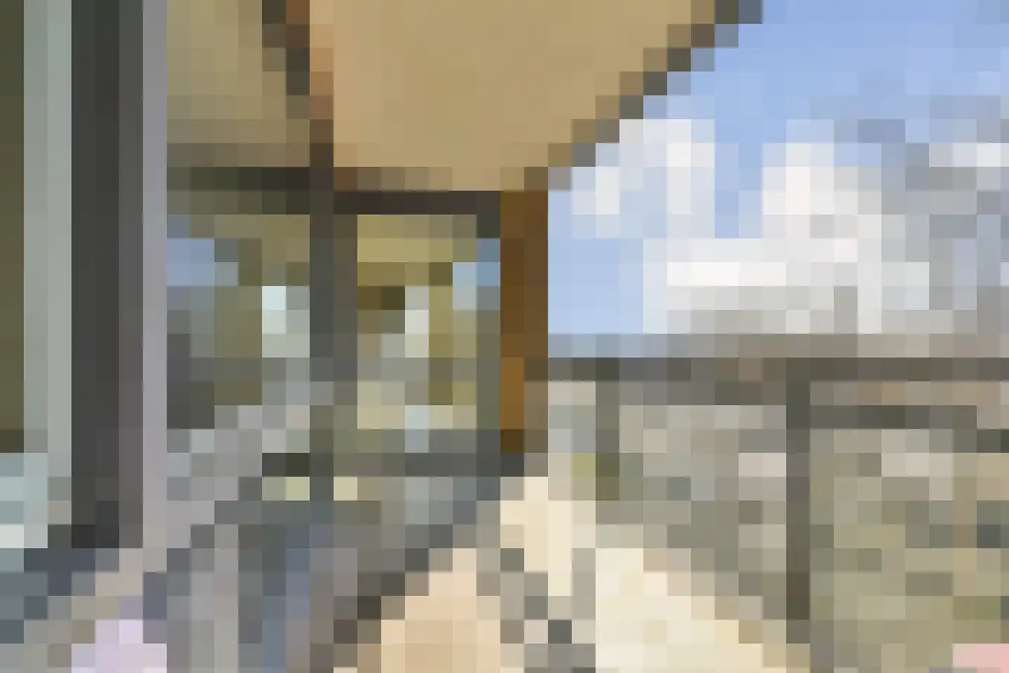 Populier 36 Naaldwijk thumbnail 10