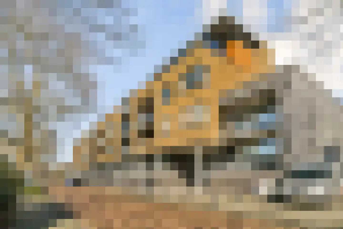 Populier 36 Naaldwijk thumbnail 25