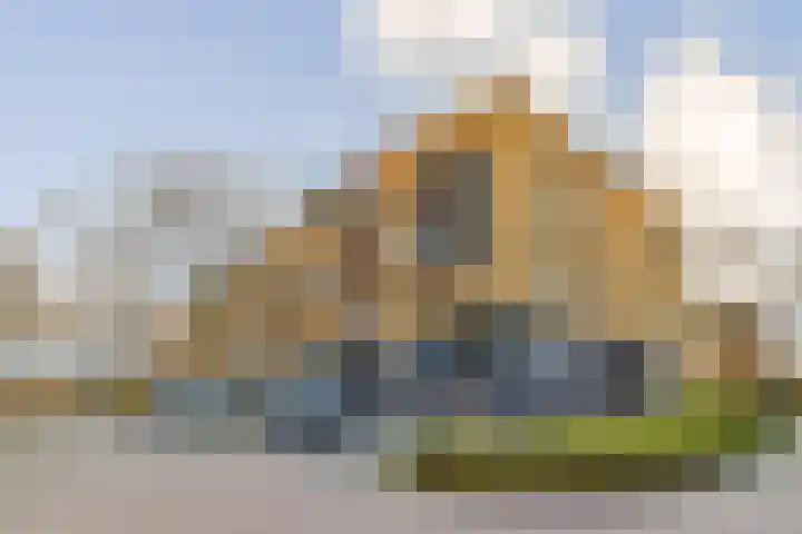 Populier 36 Naaldwijk thumbnail 26