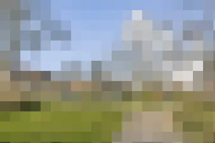 Populier 36 Naaldwijk thumbnail 28