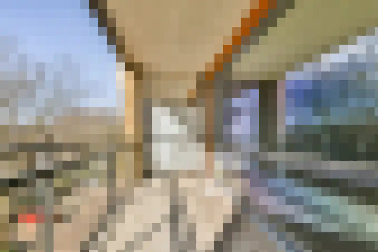 Populier 36 Naaldwijk thumbnail 9