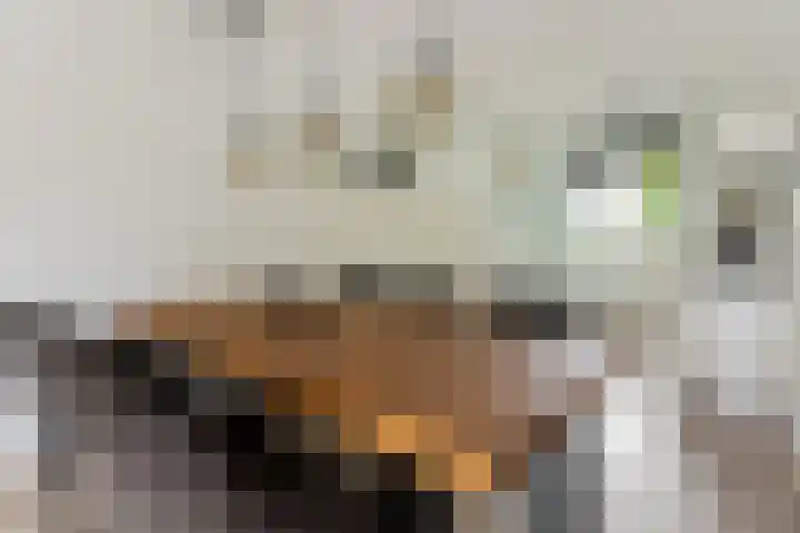 Populier 38 Leek thumbnail 13