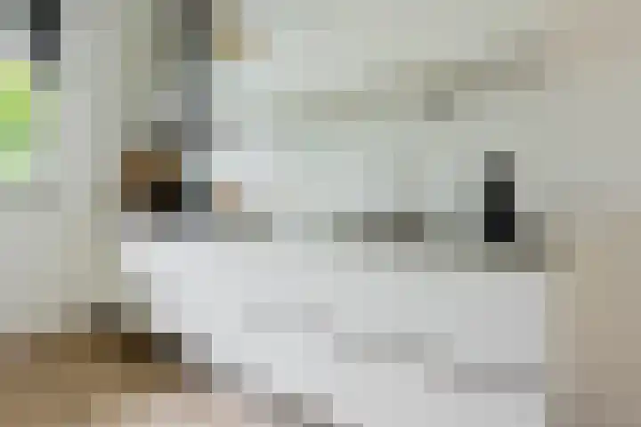 Populier 38 Leek thumbnail 14