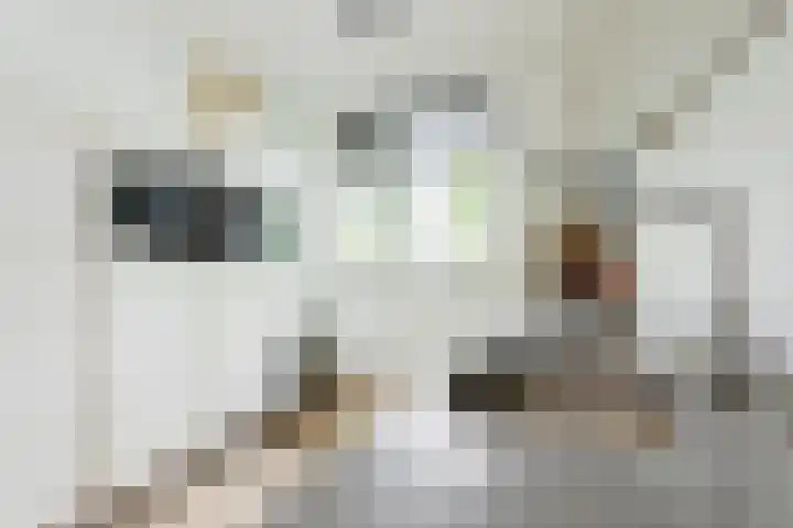 Populier 38 Leek thumbnail 15