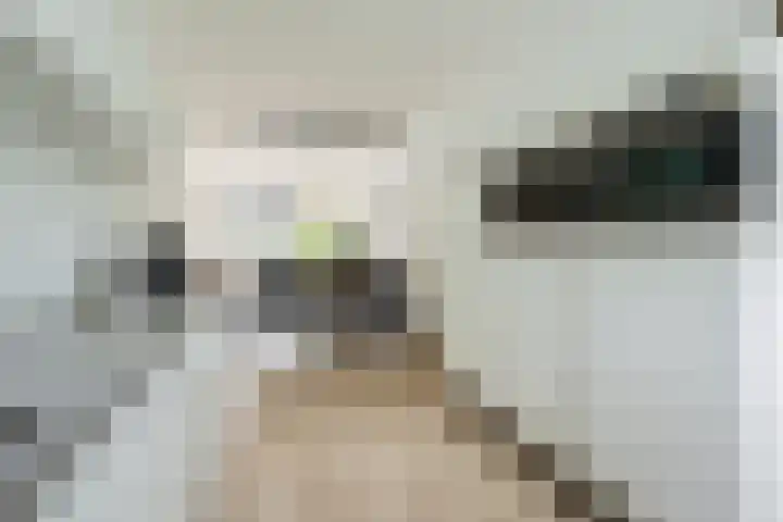 Populier 38 Leek thumbnail 17