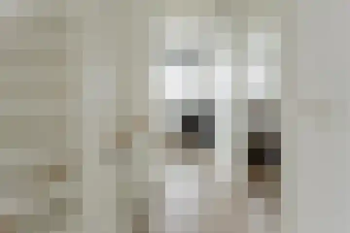 Populier 38 Leek thumbnail 20